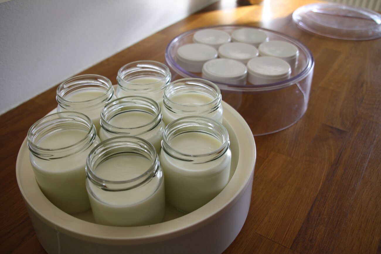 La fermentation lactique dans la réalisation des yaourts 1 yaourtière + couvercle