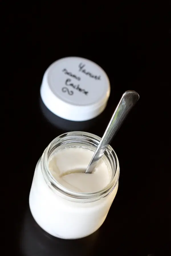 yaourt diy au lait sans lactose