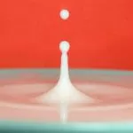 goutte de lait et yaourt