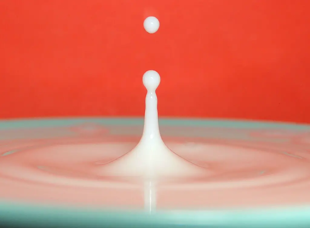 goutte de lait et yaourt