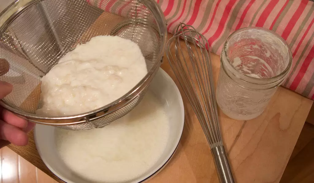Quelles différences entre kéfir et yaourt ?