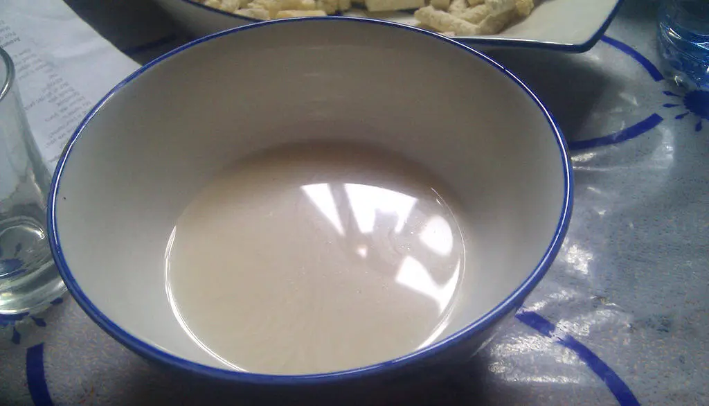 Qui a inventé le yaourt ? 1 Lait fermenté traditionnel, l'ancêtre du yaourt