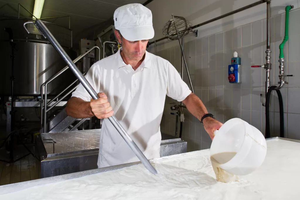 Produit laitier : naturel ou peu transformé ? 1 fromager préparant le lait