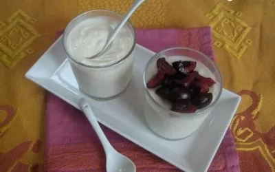 Le yaourt végétal de Végébon